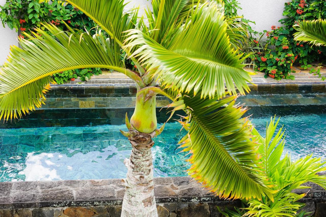 Luxury Villa L'Ile Maurice Pointe aux Canonniers Eksteriør billede